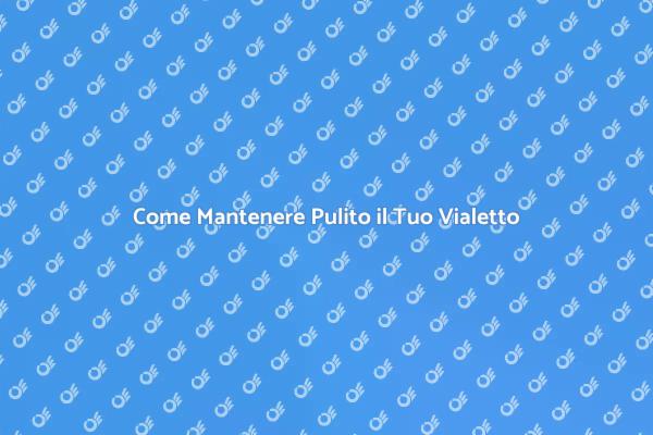 Pulizia Vialetto: Suggerimenti Efficaci