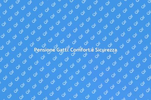 Pensione per Gatti: Benessere Assicurato