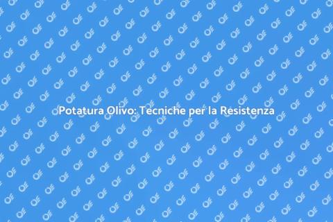 Potatura Olivo: Arte e Resilienza