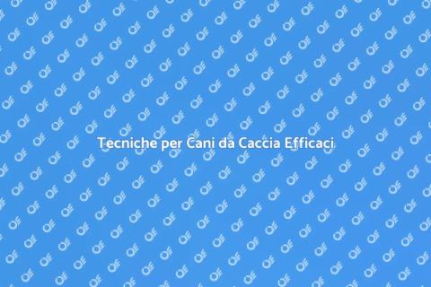 Addestramento Cani da Caccia Efficace