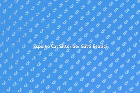 Cat Sitter Esperto per Gatti Esotici