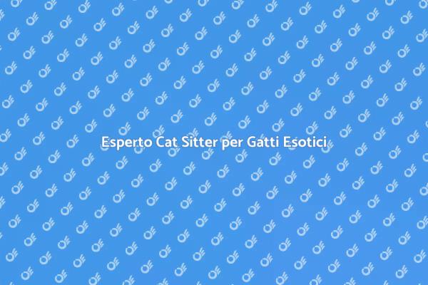 Gatti Esotici: L'Arte di Accudirli