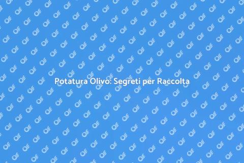 Potatura Olivo: Guida per Raccolta Facile