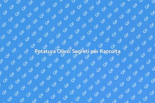 Potatura Olivo: Tecniche per Efficienza
