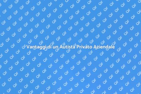 Autista Privato per Trasporti Aziendali
