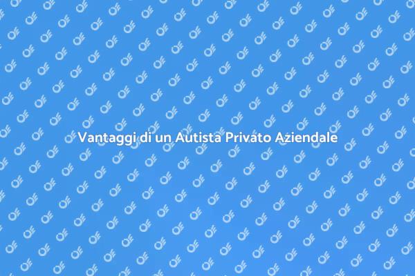 Scopri i Vantaggi dell'Autista Privato
