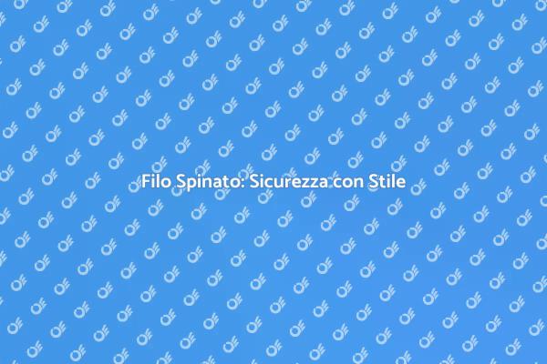 Sicurezza e Stile con Filo Spinato
