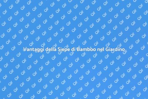 Siepe di Bamboo: Estetica e Funzionalità