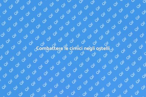 Disinfestazione cimici in ostelli