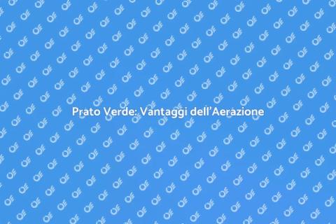 Aerazione del Prato: Giardino Perfetto