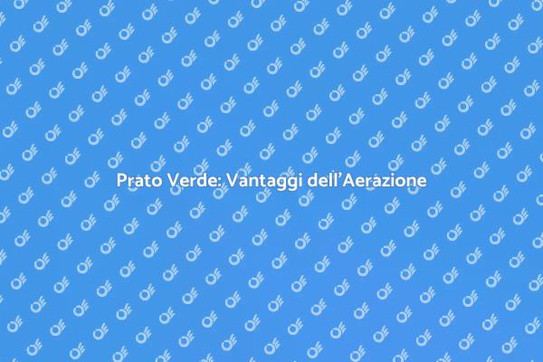 Aerazione del Prato: Benefici e Tecniche