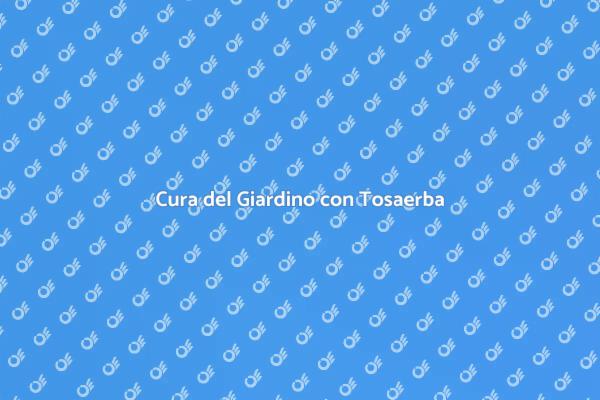 Mantieni il Tuo Giardino Perfetto