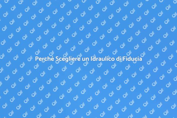 Sicurezza Idraulica: La Chiave per la Tua Casa