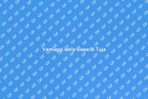 Siepe di Tuja Occidentalis: Vantaggi