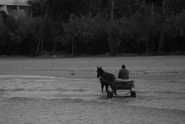 Francesco G. - Foto 5