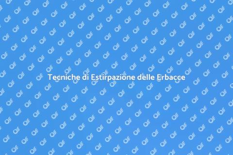 Estirpazione Efficace delle Erbacce