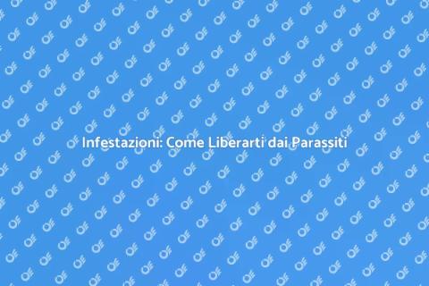 Combatti le Infestazioni in Casa