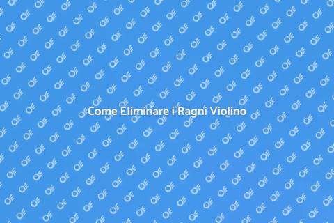 Sterminare Ragni Violino: Guida Efficace
