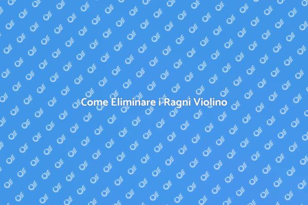 Elimina i Ragni Violino in Casa