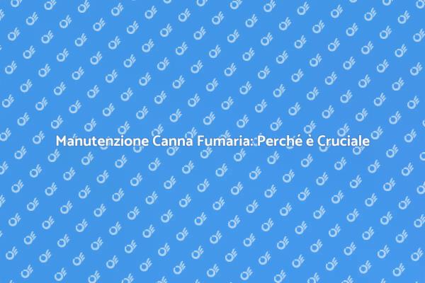 Canna Fumaria: Sicurezza ed Efficienza Domestica