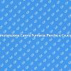 Canna Fumaria: Sicurezza ed Efficienza Domestica