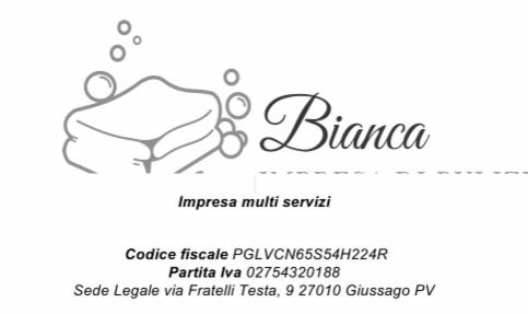 Impresa di pulizie - Foto 1