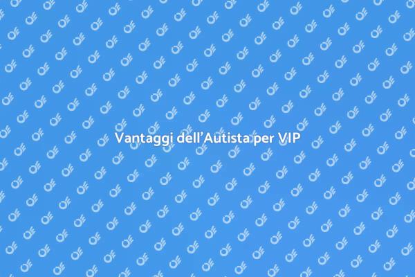 Perché Scegliere un Autista VIP?