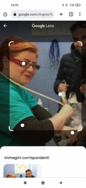 Medico veterinario - Foto 4