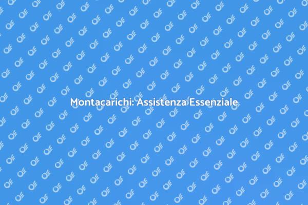 Sicurezza Montacarichi: Assistenza Necessaria