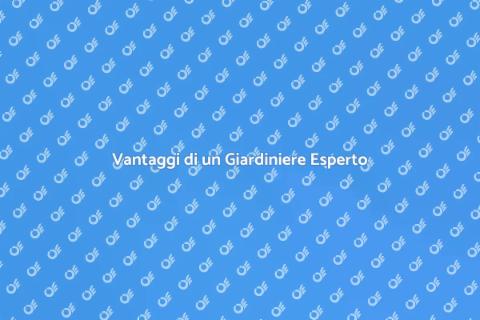 Giardiniere Professionista per il Tuo Giardino