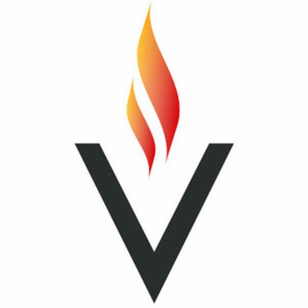 Vesta Srl  - Foto 1