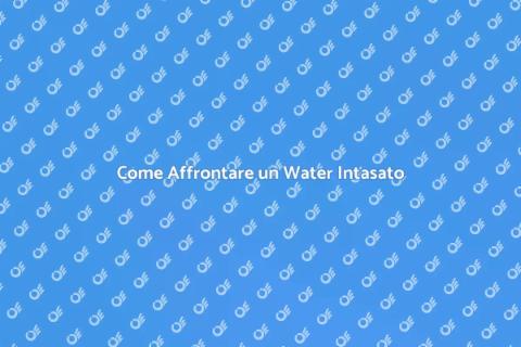 Risolvere il Problema del Water Intasato