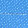 Eleganza e Funzionalità: Porta a Scomparsa