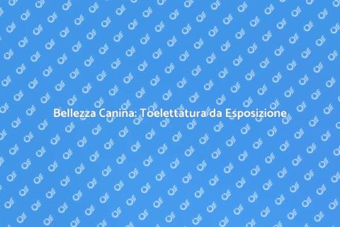 Toelettatura Cani da Esposizione