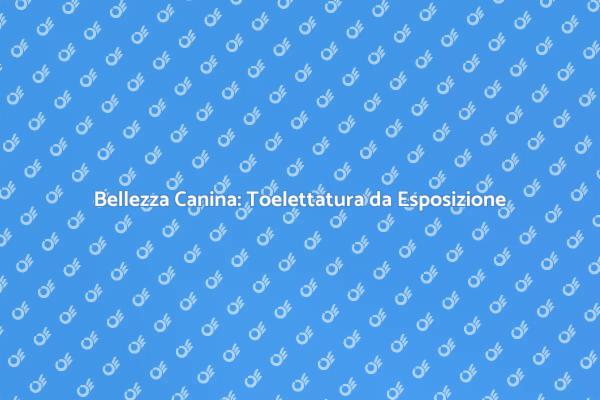 La Magia della Toelettatura per Cani