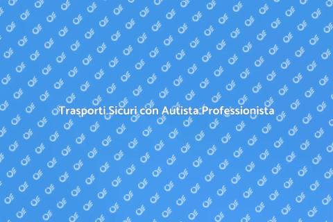 Sicurezza nei Trasporti con Autista