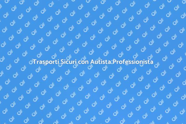 Viaggia Sicuro con Autista Esperto