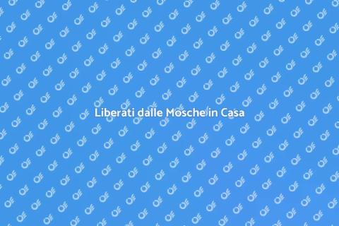 Disinfestazione dalle Mosche Efficace