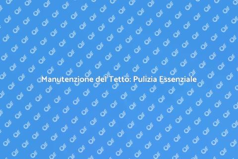 Pulizia del Tetto: Vita alla Tua Casa