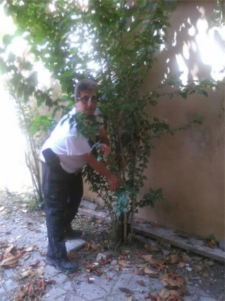 Due Mani in Più  - Foto 3