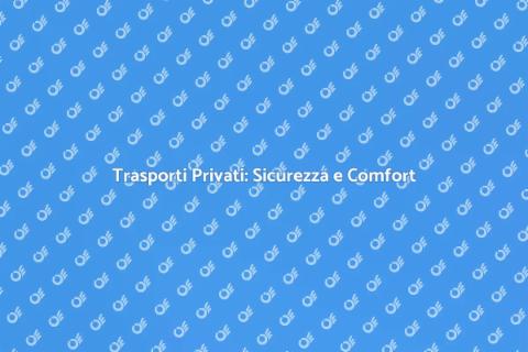 Servizio di Autista Privato Sicuro