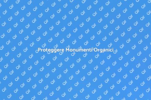 Impermeabilizzazione Monumenti Organici