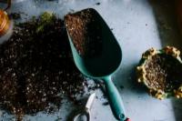 Gli 8 errori più comuni nel giardinaggio