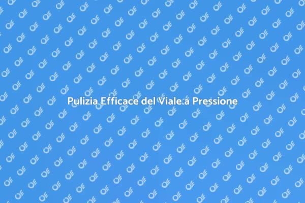 Trasforma il Tuo Viale con il Lavaggio