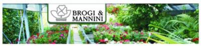 Azienda Florivivaistica Mannini & Brogi  - Foto 4