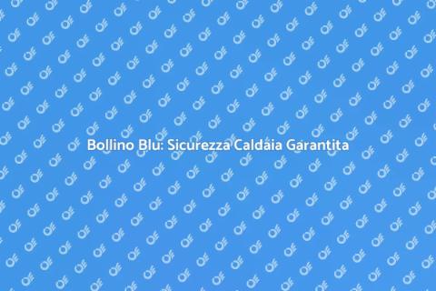 Garanzia Bollino Blu Caldaia Sicura
