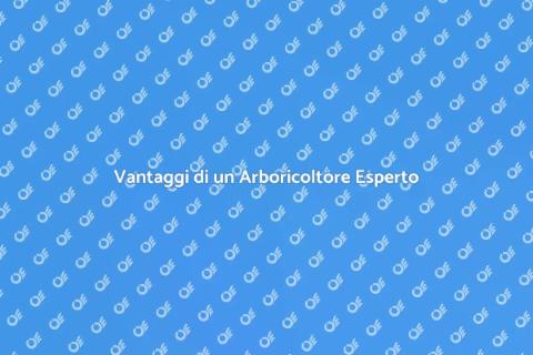 Arboricoltore: Valorizza il Tuo Verde