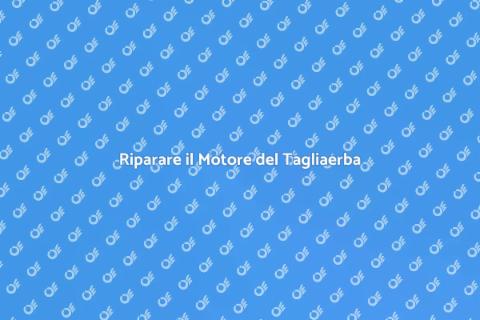 Riparazione Motore Tagliaerba Efficace