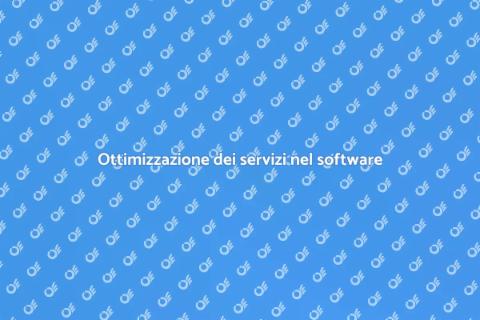 Gestione servizi software di sviluppo