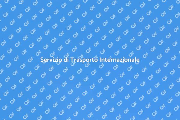 Trasporto Sicuro e Professionale